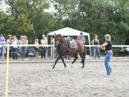 IMG_1365_web